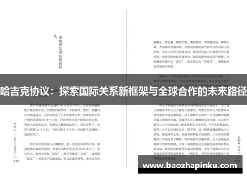 哈吉克协议：探索国际关系新框架与全球合作的未来路径