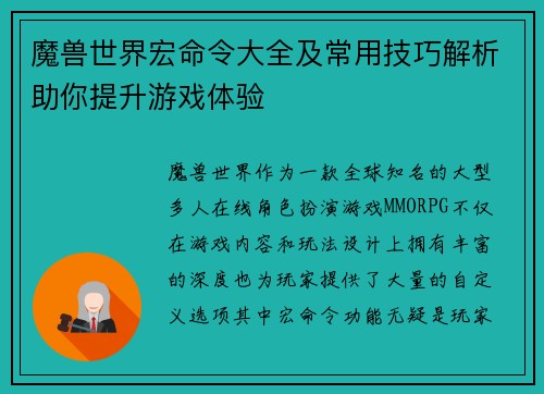 魔兽世界宏命令大全及常用技巧解析助你提升游戏体验